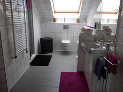 Badkamer met mooie douche-cabine en hangend toilet